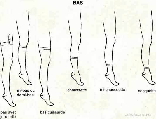 Bas (Dictionnaire Visuel)